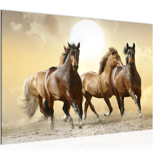 Wandbilder Wohnzimmer XXL Pferde Moderne Bilder Tiere